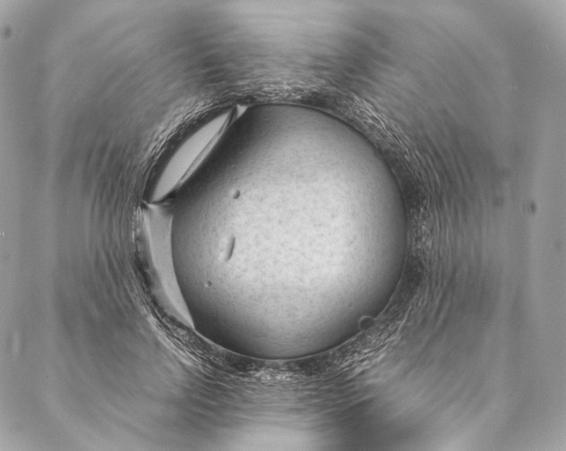 X0000087390742200705111800