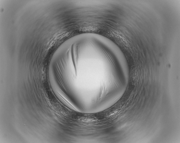 X0000087390743200705111800