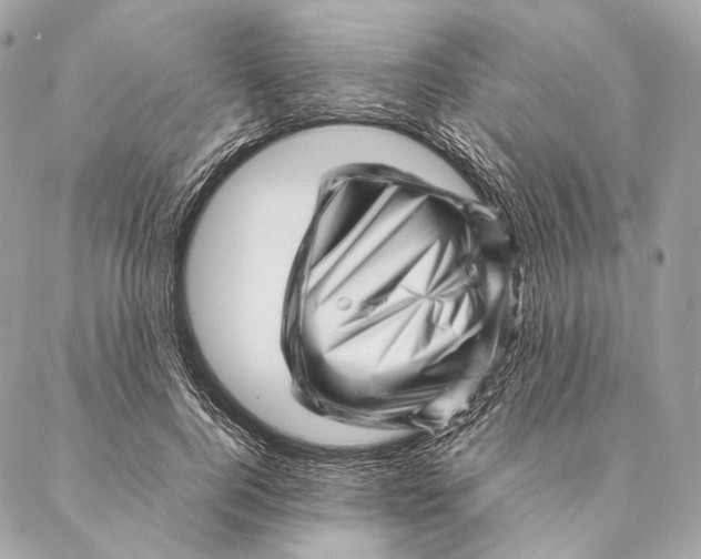 X0000087390744200705111800