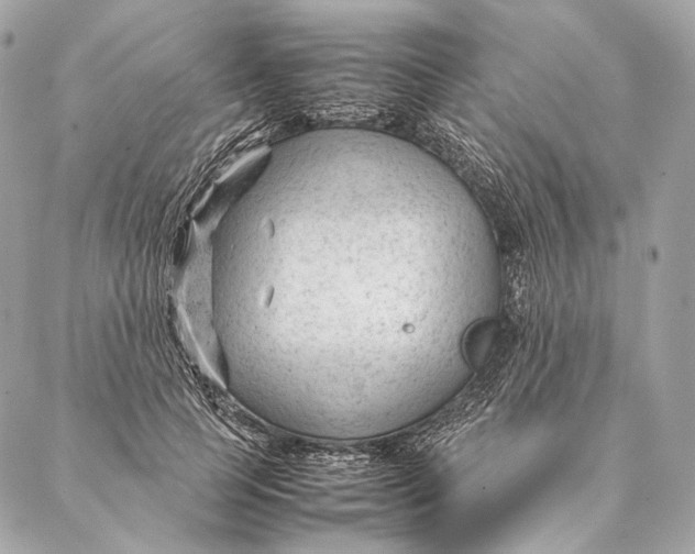 X0000087390745200705111800