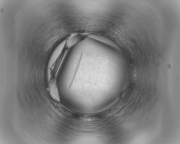 X0000087390746200705111800