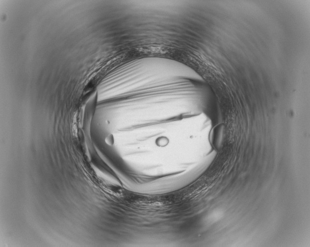 X0000087390747200705111800