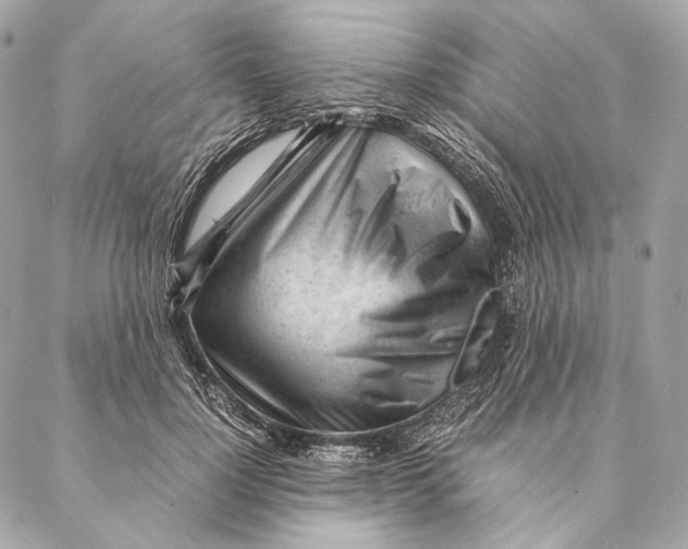 X0000087390748200705111800