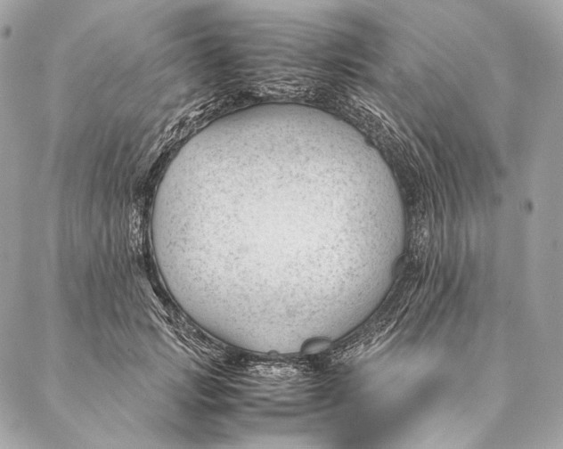 X0000087390749200705111800