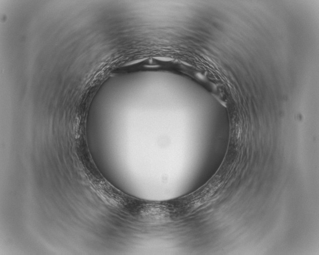 X0000087390750200705111800