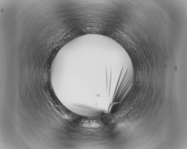 X0000087390751200705111800