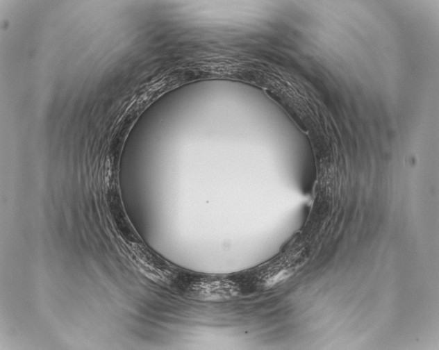 X0000087390752200705111800