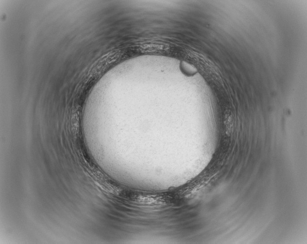 X0000087390753200705111800