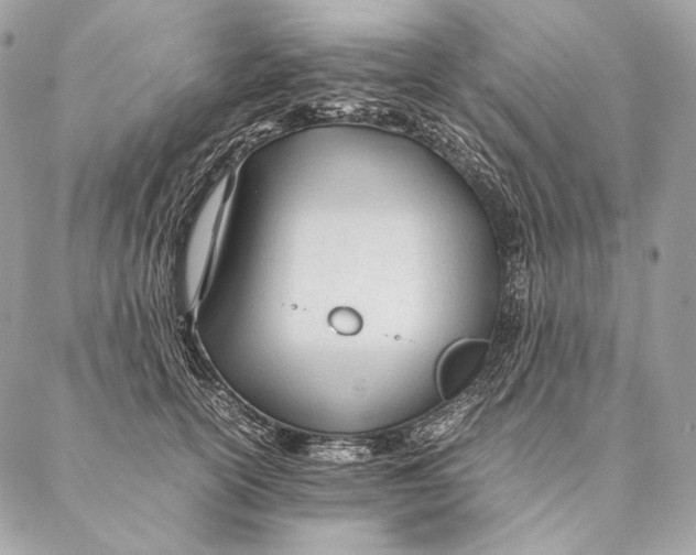 X0000087390754200705111800