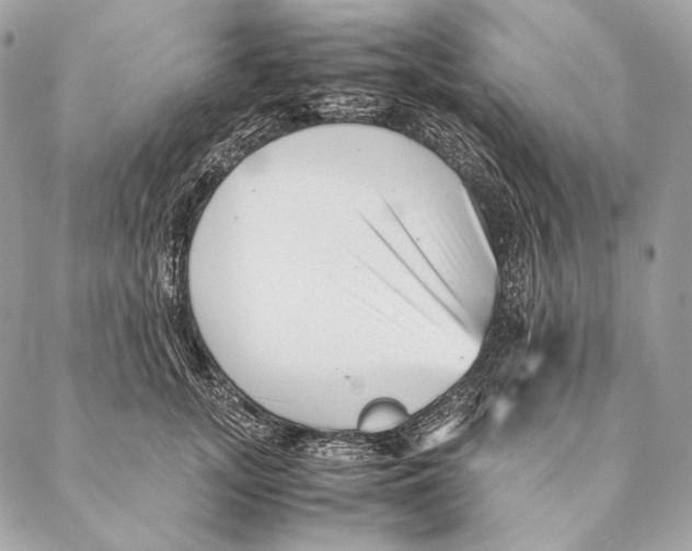 X0000087390755200705111800