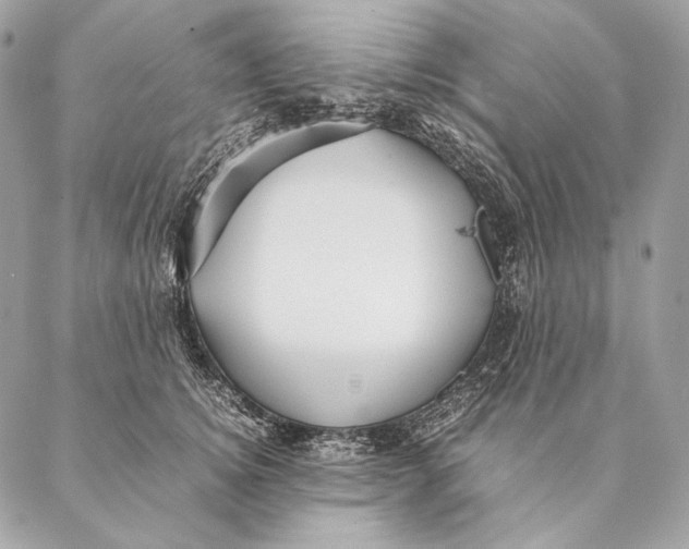 X0000087390756200705111800