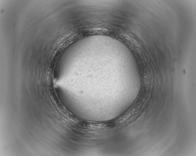 X0000087390757200705111800