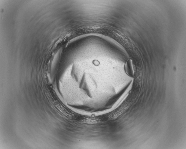 X0000087390758200705111800