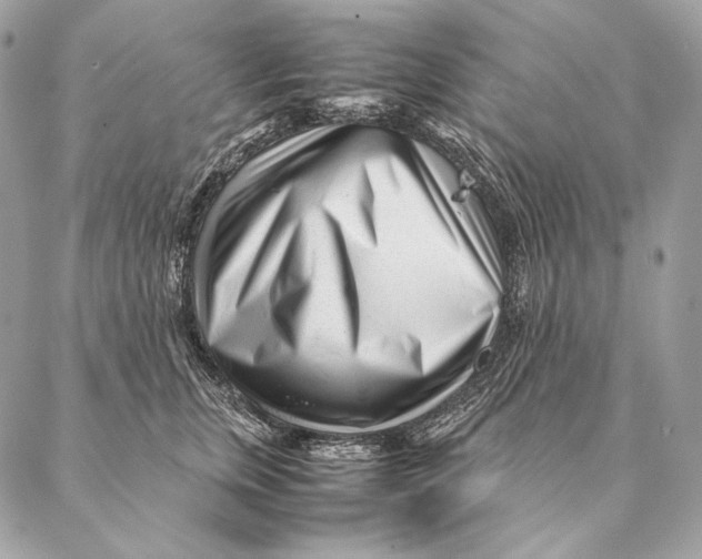 X0000087390759200705111800