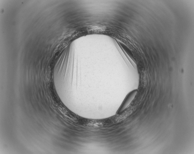 X0000087390760200705111800