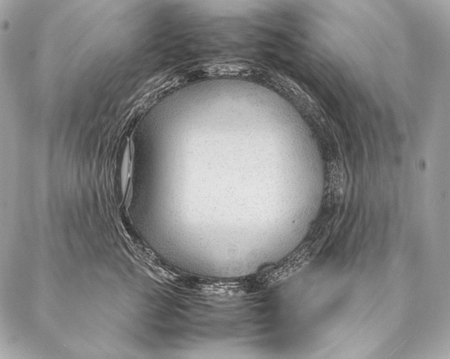 X0000087390761200705111800