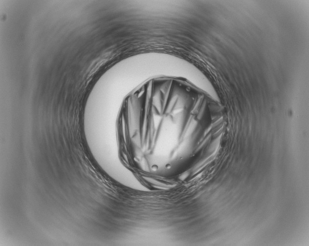 X0000087390762200705111800