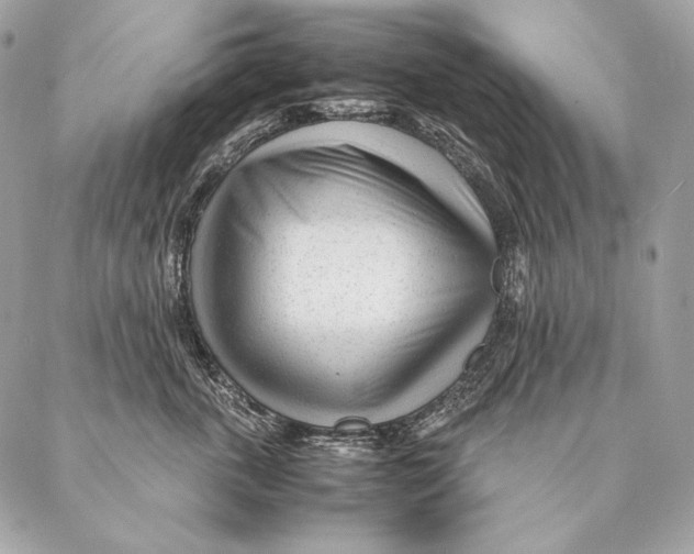 X0000087390763200705111800