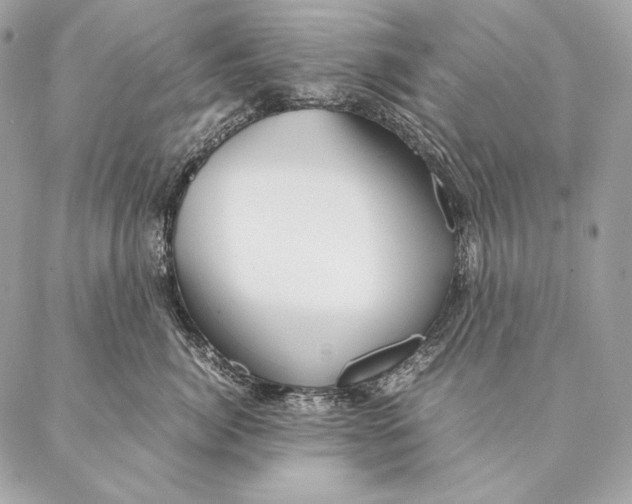 X0000087390764200705111800