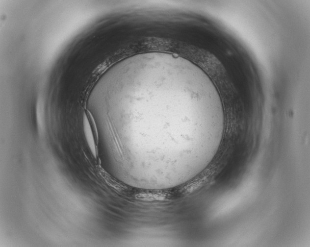 X0000087390765200705111800