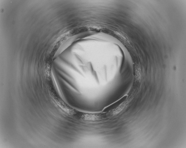 X0000087390766200705111800