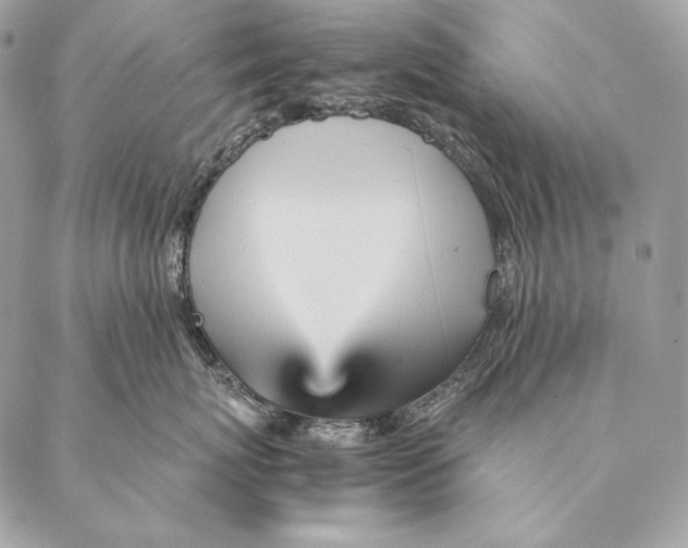 X0000087390767200705111800