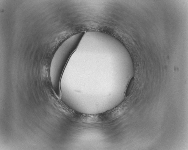 X0000087390768200705111800