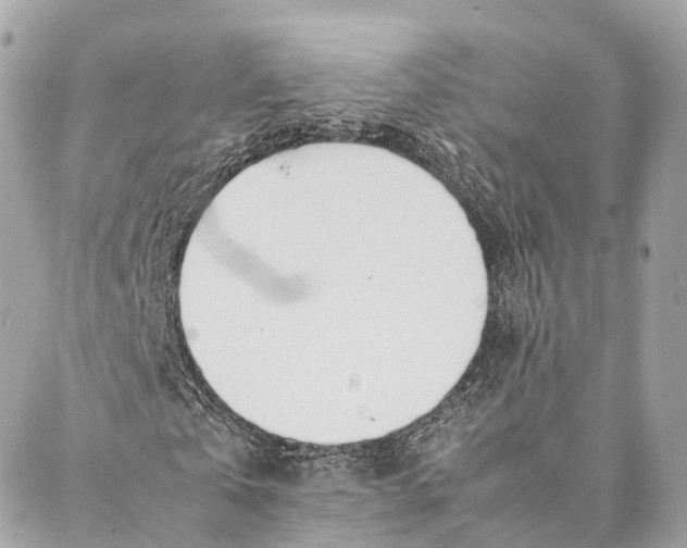 X0000087390769200705111800