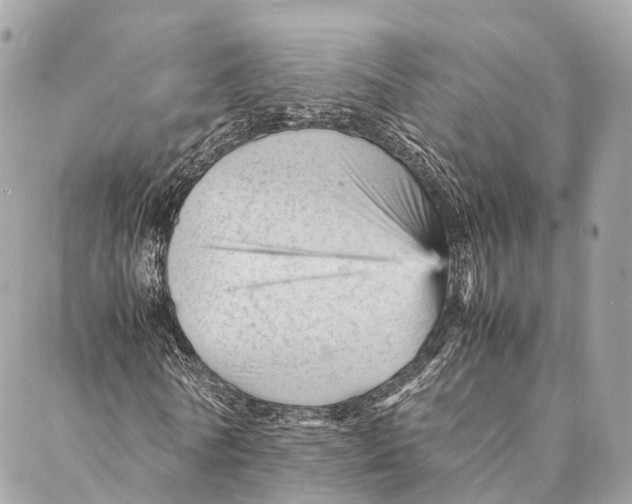 X0000087390770200705111800