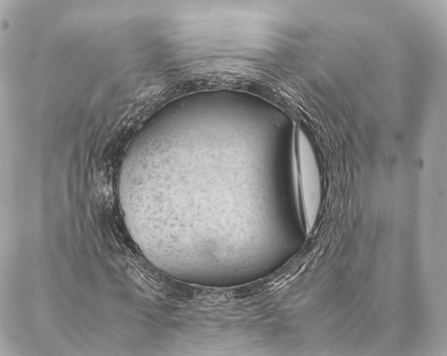 X0000087390771200705111800