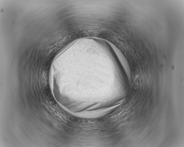 X0000087390772200705111800