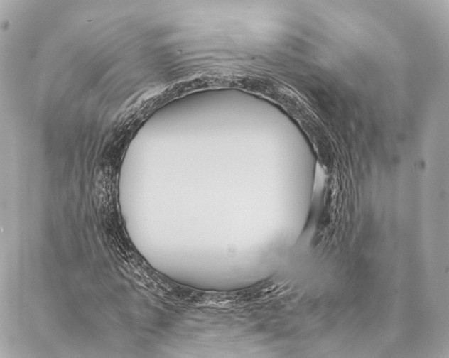 X0000087390773200705111800