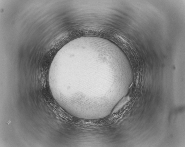 X0000087390774200705111800