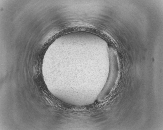 X0000087390775200705111800