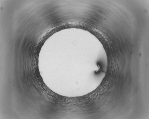 X0000087390776200705111759