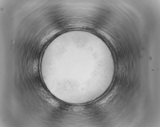 X0000087390778200705111759