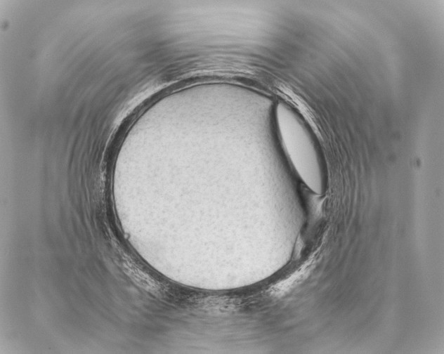 X0000087390779200705111759