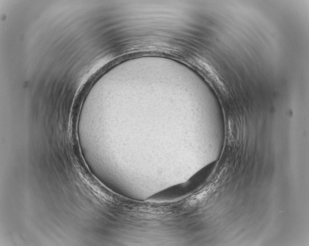 X0000087390780200705111759