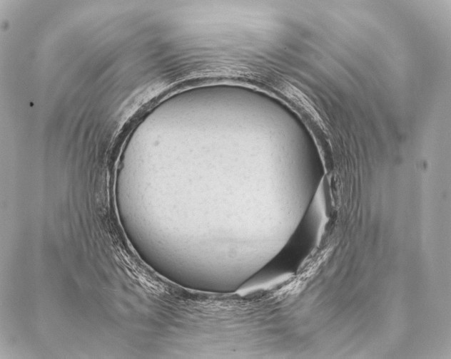 X0000087390781200705111759