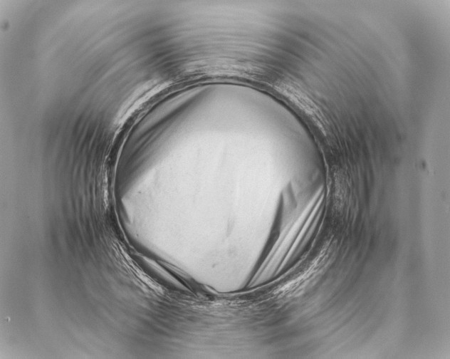 X0000087390782200705111759