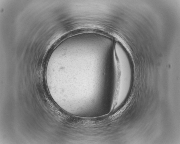 X0000087390783200705111759