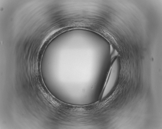 X0000087390784200705111759