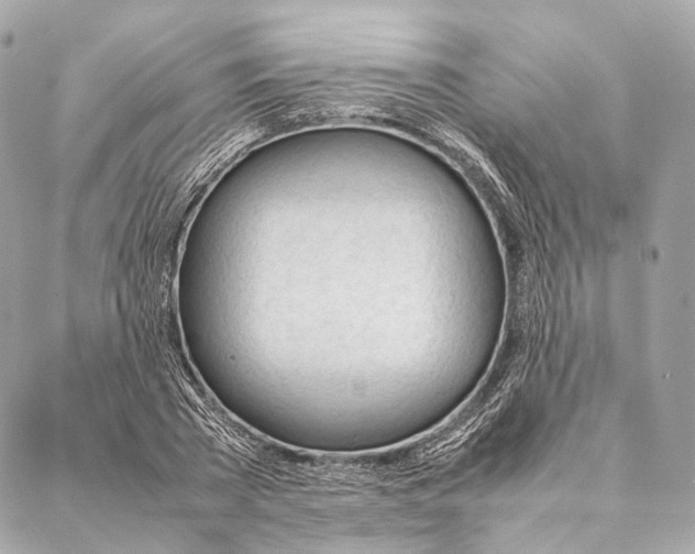 X0000087390785200705111759