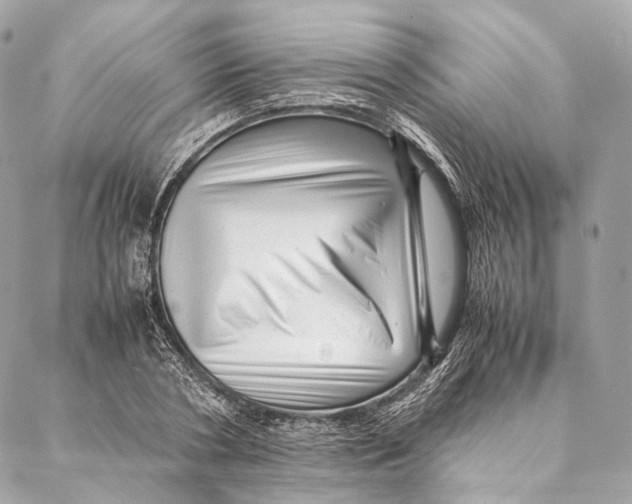 X0000087390786200705111759