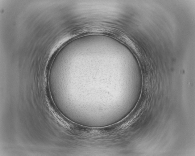 X0000087390787200705111759