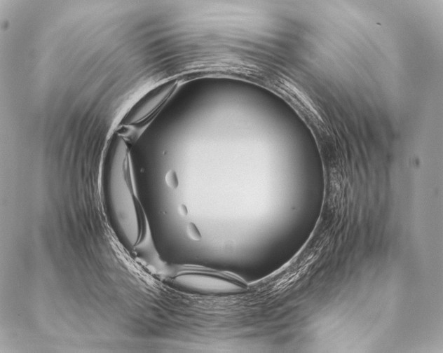 X0000087390788200705111759