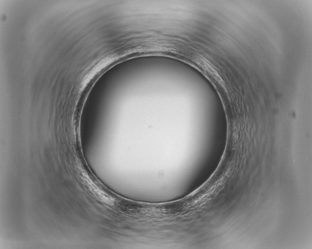 X0000087390789200705111759