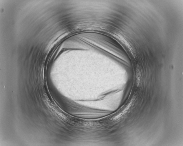 X0000087390790200705111759