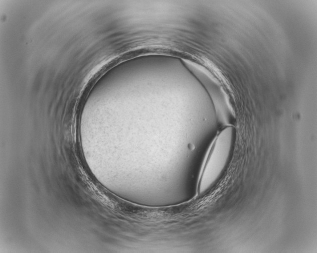 X0000087390791200705111759