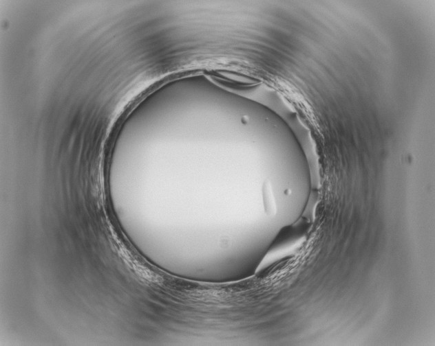 X0000087390792200705111759